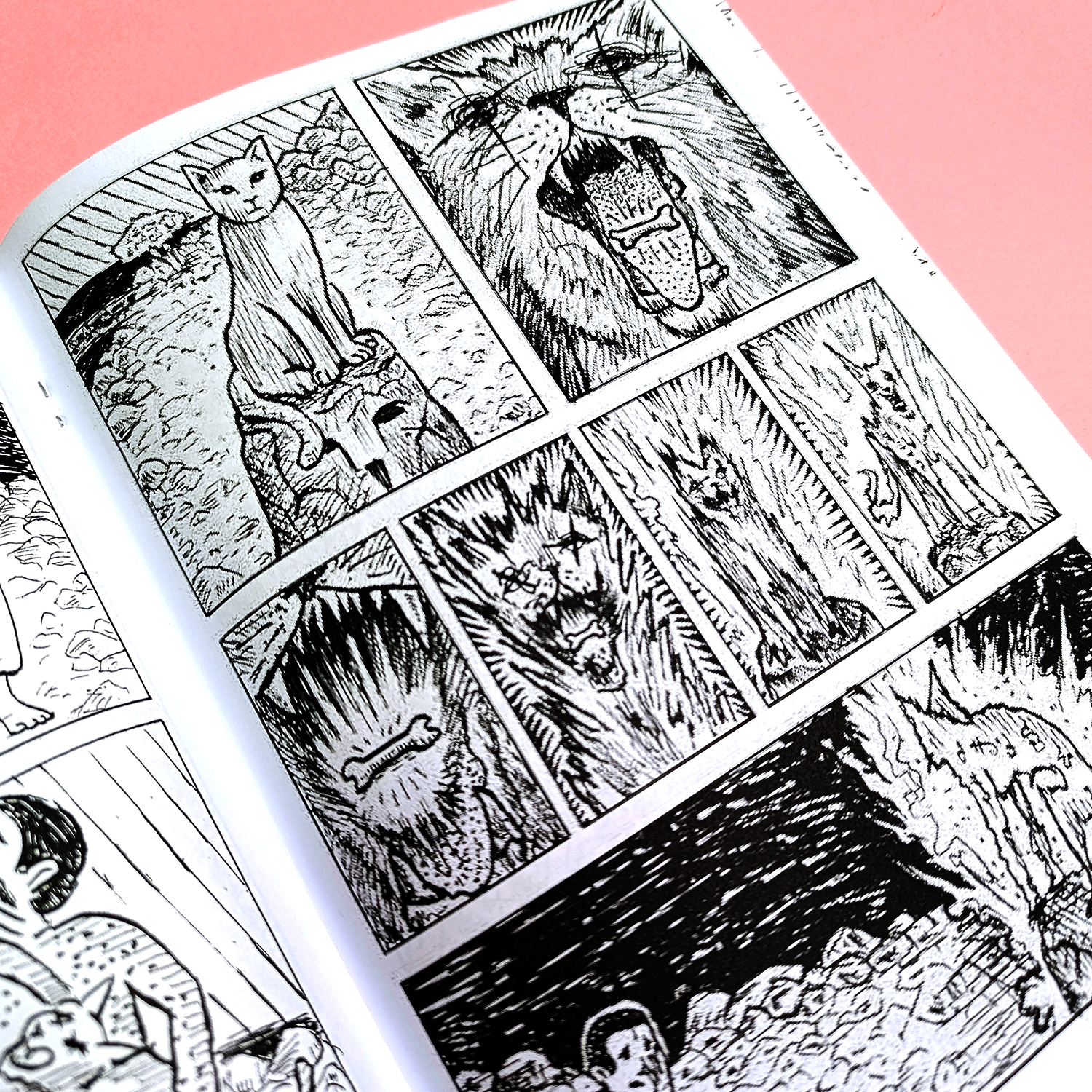 Al caer la neblina - Imagen 3