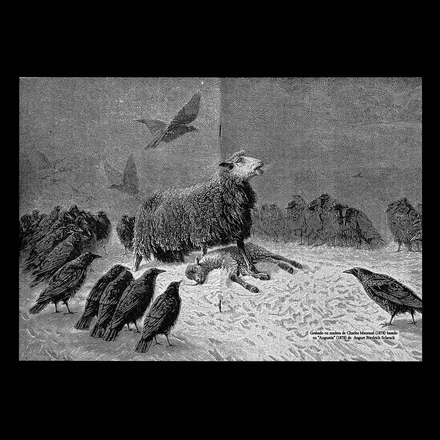 Sero N1: No hay futuro - Imagen 5